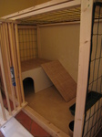 SX25711 Door opend on DIY Rabbit Hutch.jpg